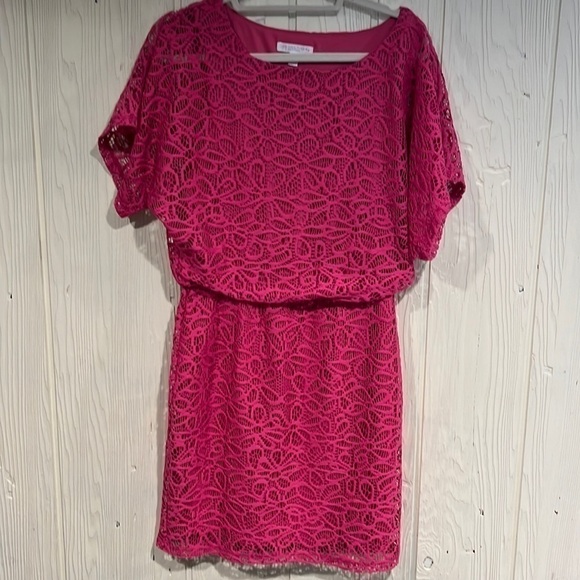 LONDON TIMES PETITES LACE DRESS WITH LINING SIZE 8P - Picture 1 of 8